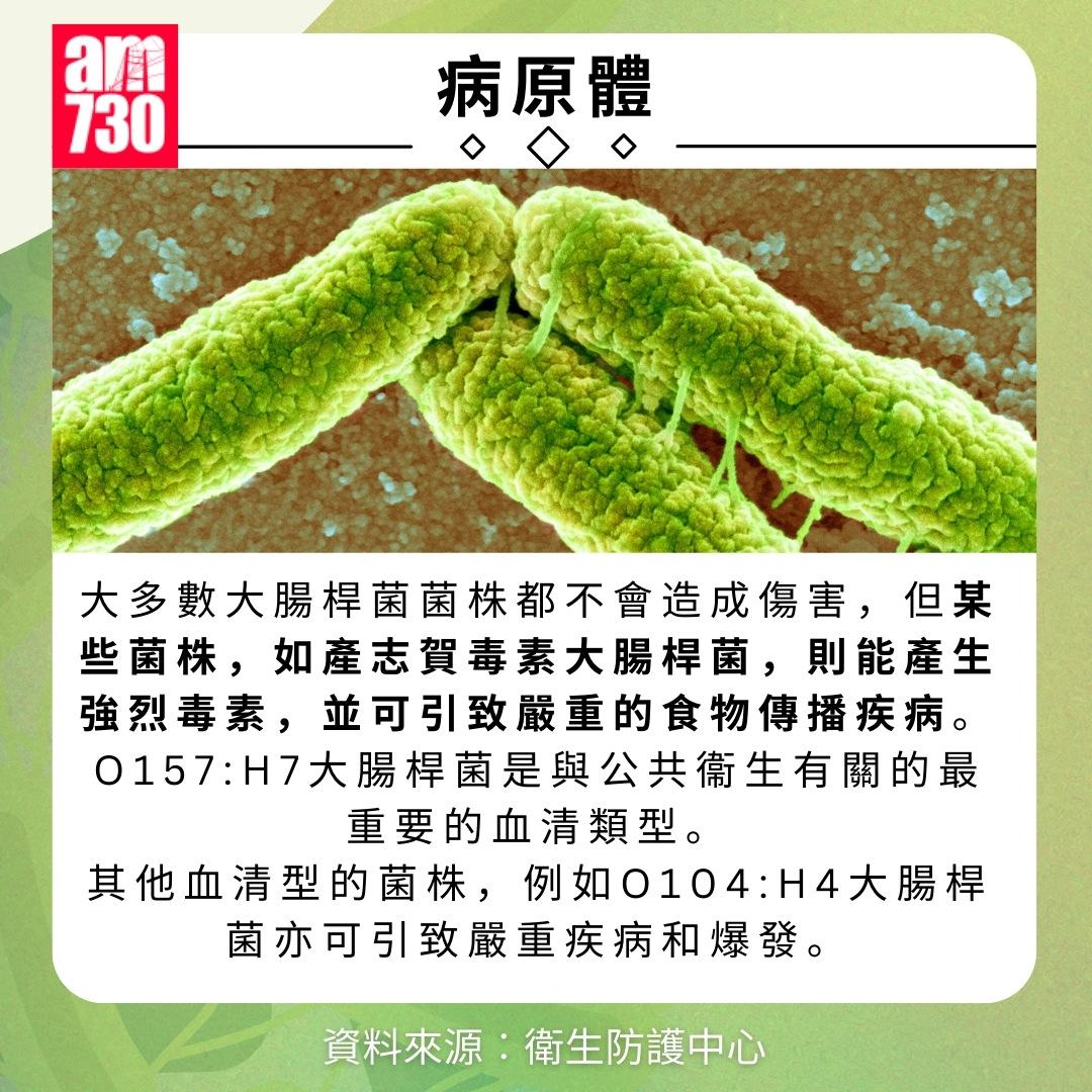 產志賀毒素大腸桿菌是甚麼?病原體(am730製圖)
