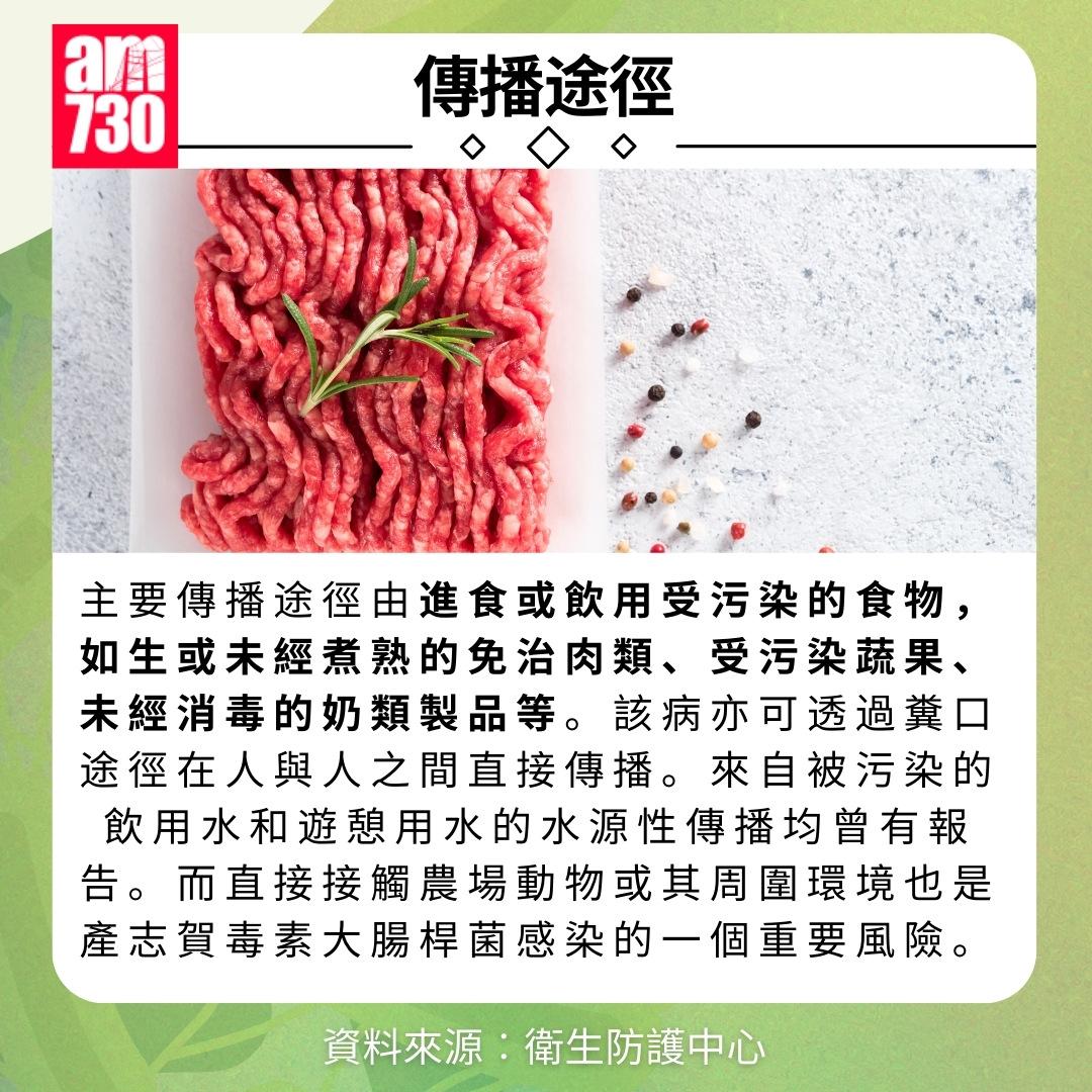產志賀毒素大腸桿菌是甚麼?傳播途徑(am730製圖)