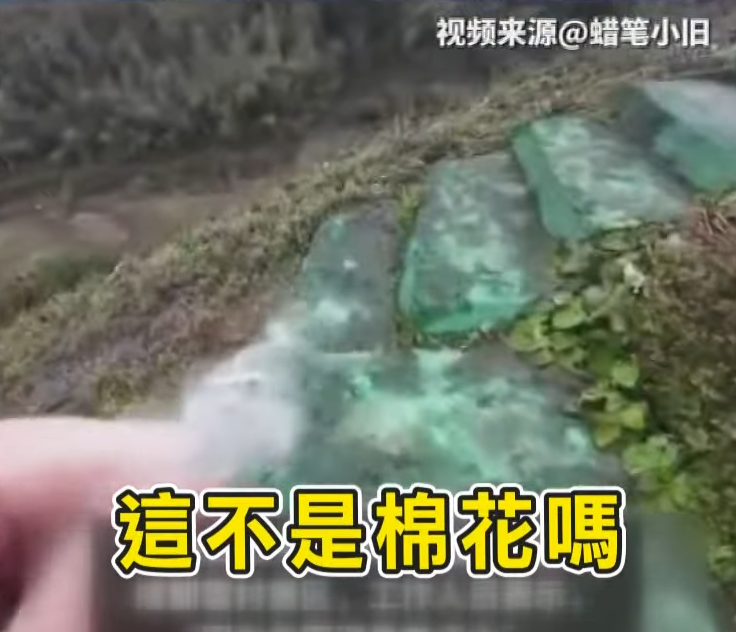 四川雪村景區涉造假,有遊客用手觸摸後發現以棉花扮白雪。(影片截圖)
