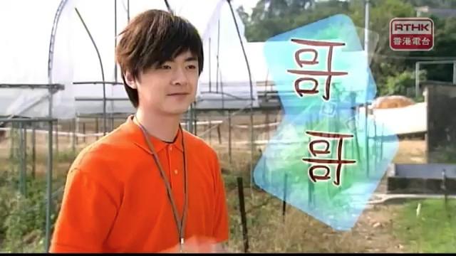 洪卓立擔任2011年港台節目《手語隨想曲》的主持。