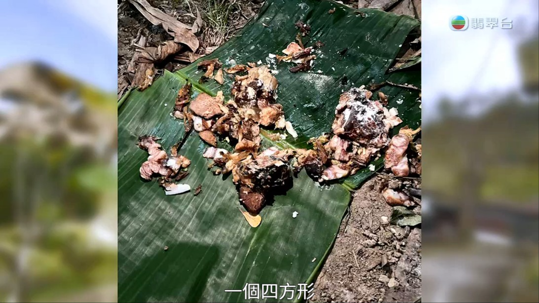 謝嘉怡在《東張西望》重溫當日事發經過,當提到愛犬當日的情況時,不禁在鏡頭前落淚。