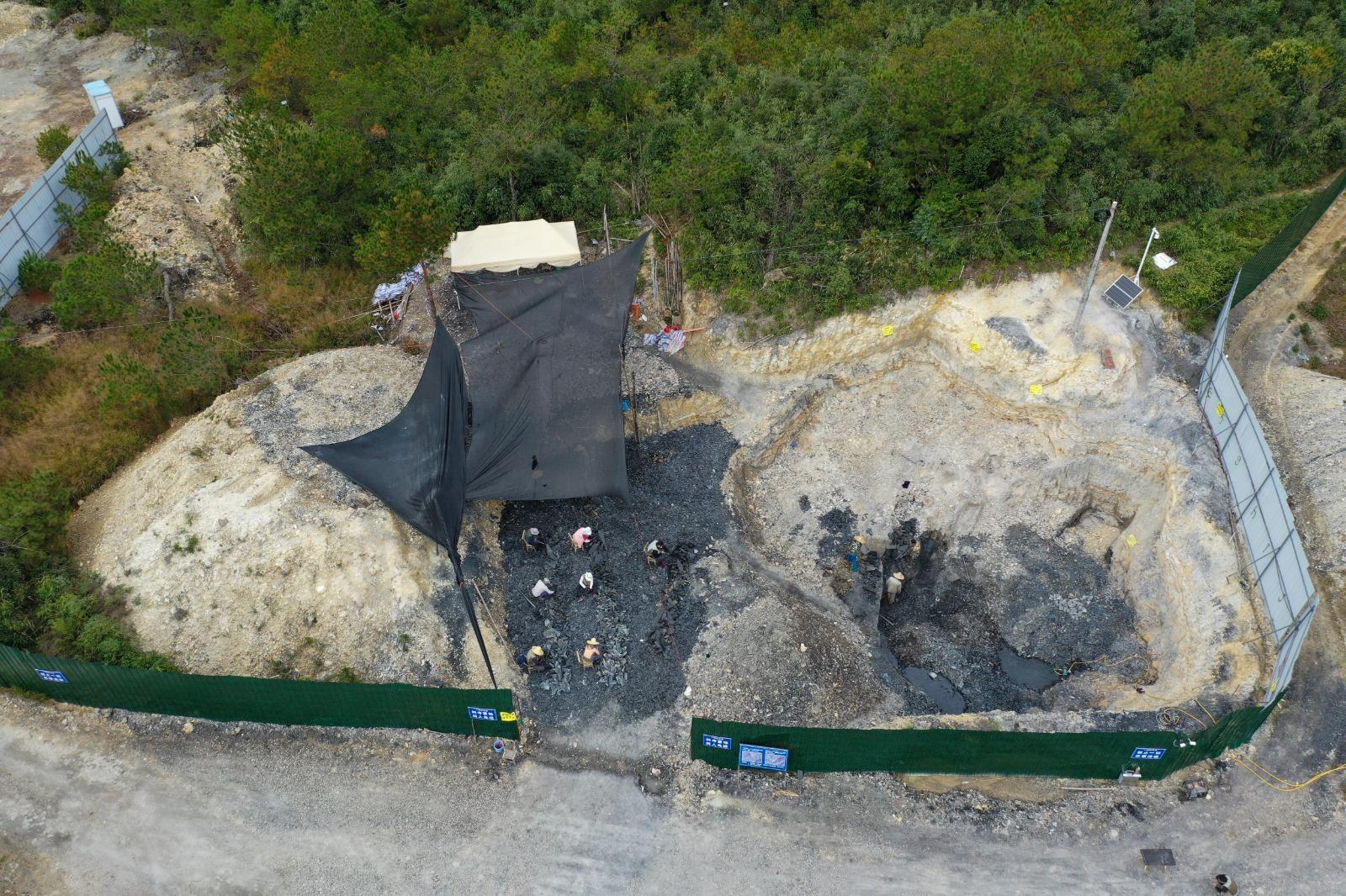 福建的「政和動物群」發現了距今1.5億年的鳥類化石「政和八閩鳥」。(新華社資料圖片)