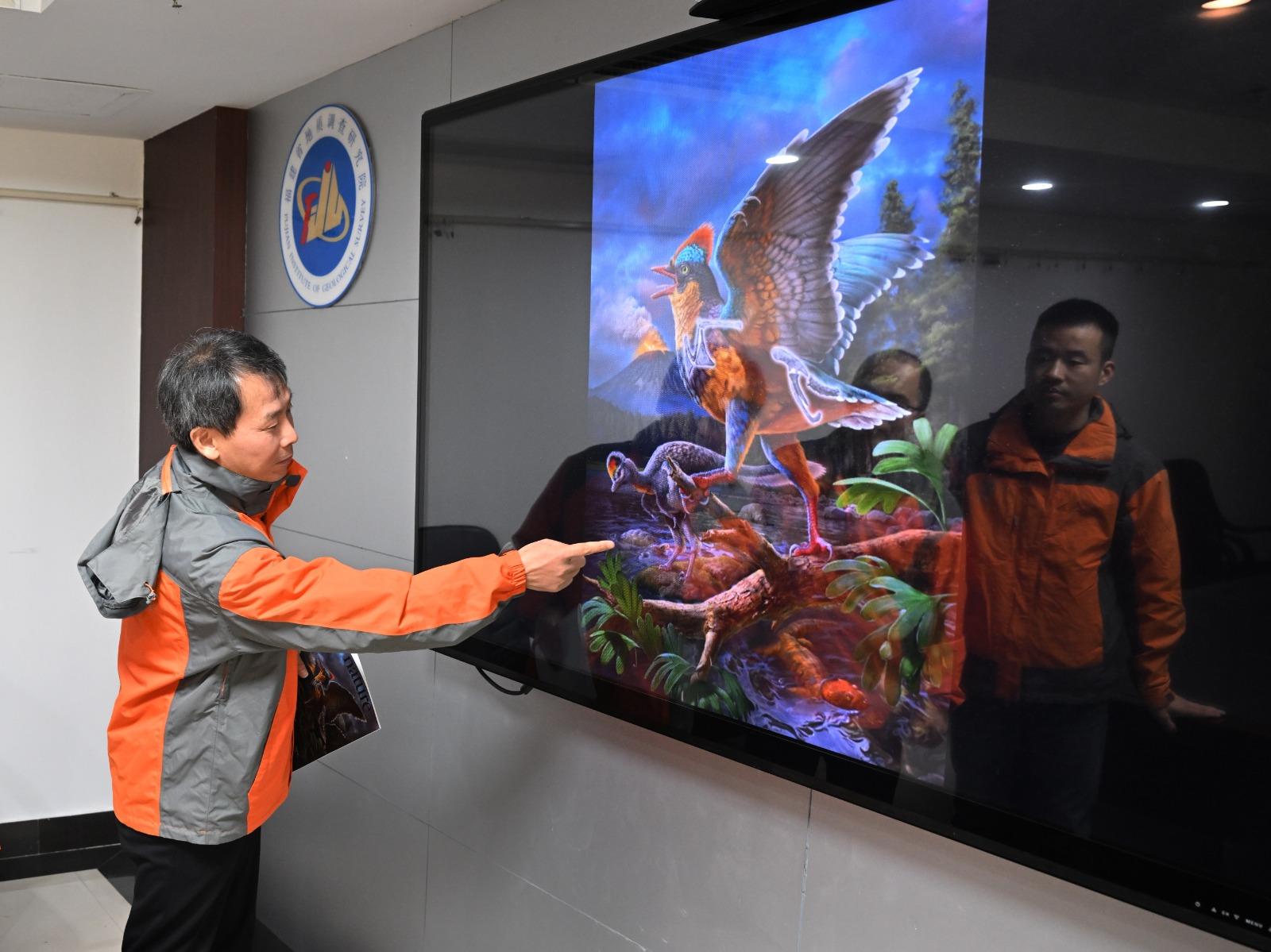 福建的「政和動物群」發現了距今1.5億年的鳥類化石「政和八閩鳥」。(新華社)