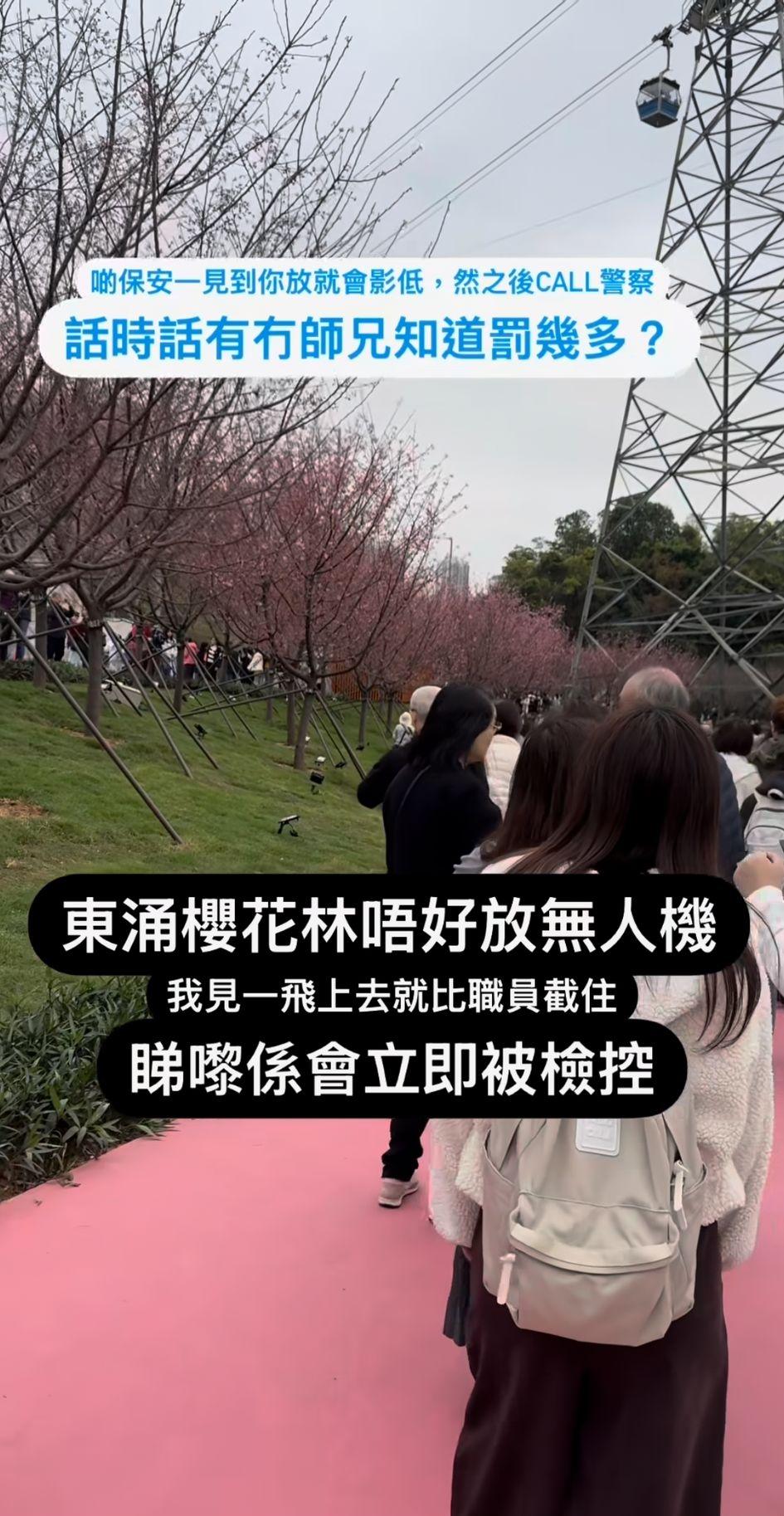 29歲男子機場櫻花園內放無人機。(IG「olded_chan」截圖)