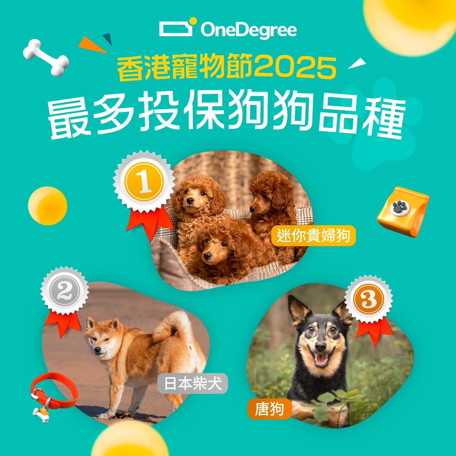 OneDegree:寵物節投保收入增83% 破紀錄|虛擬保險