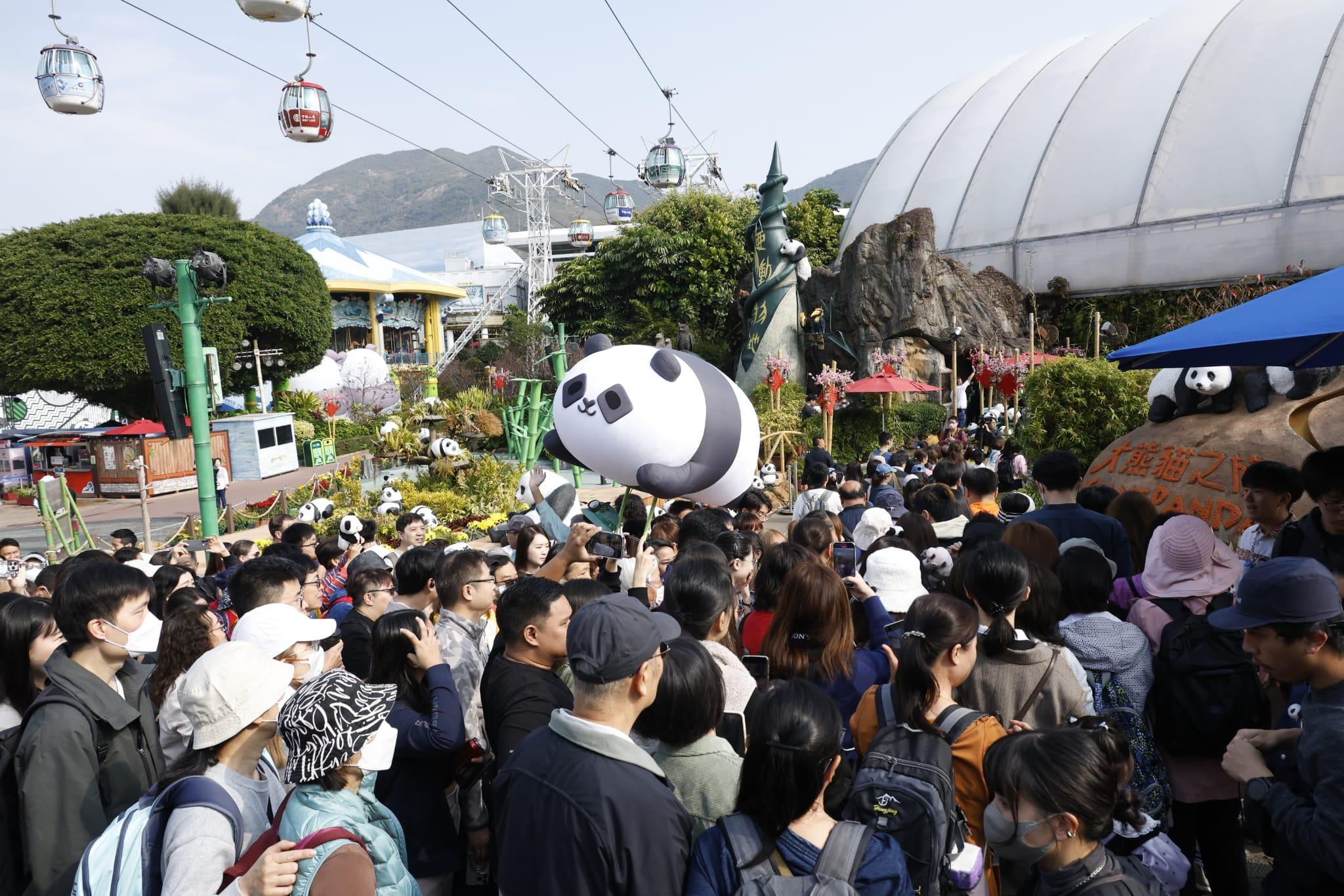 龍鳳胎吸引大批觀眾入場。(林俊源攝)