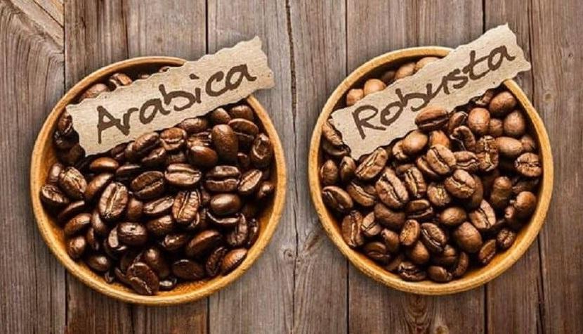 Arabica與Robusta咖啡豆在外形上的分別。(互聯網)