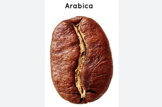 阿拉比卡咖啡豆。(互聯網)