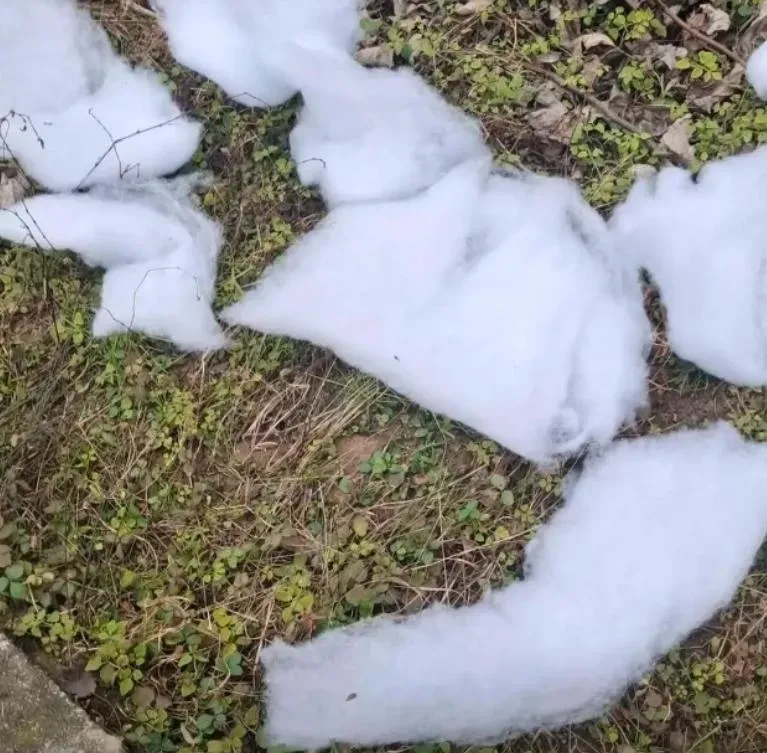 四川雪村景區涉以棉花扮「白雪」。