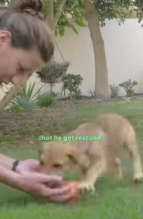 小狗與主人玩耍。(互聯網)