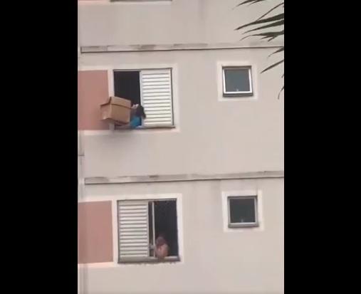 樓下女子拿出紙箱,準備接住小狗。(互聯網)