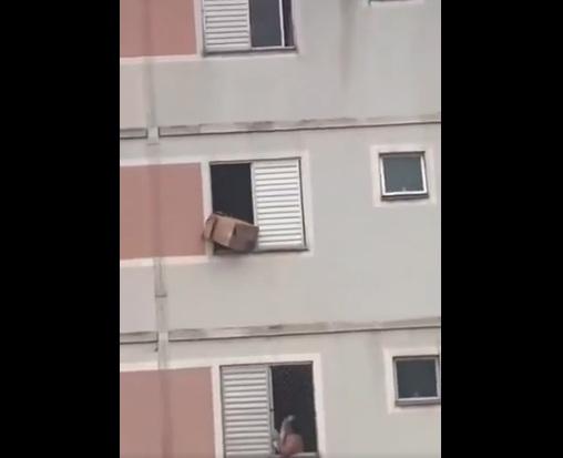 女子用紙箱把小狗接住,想將紙箱拿進屋。(互聯網)