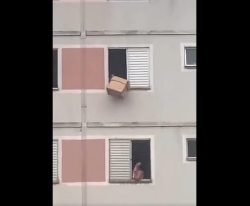 女子用紙箱把小狗接住,想將紙箱拿進屋。(互聯網)