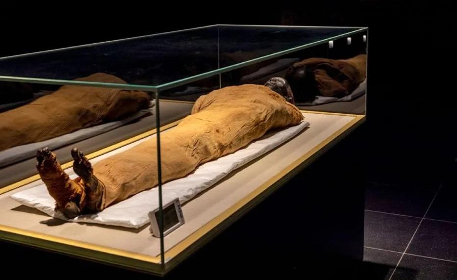 圖特摩斯二世木乃伊。(互聯網)