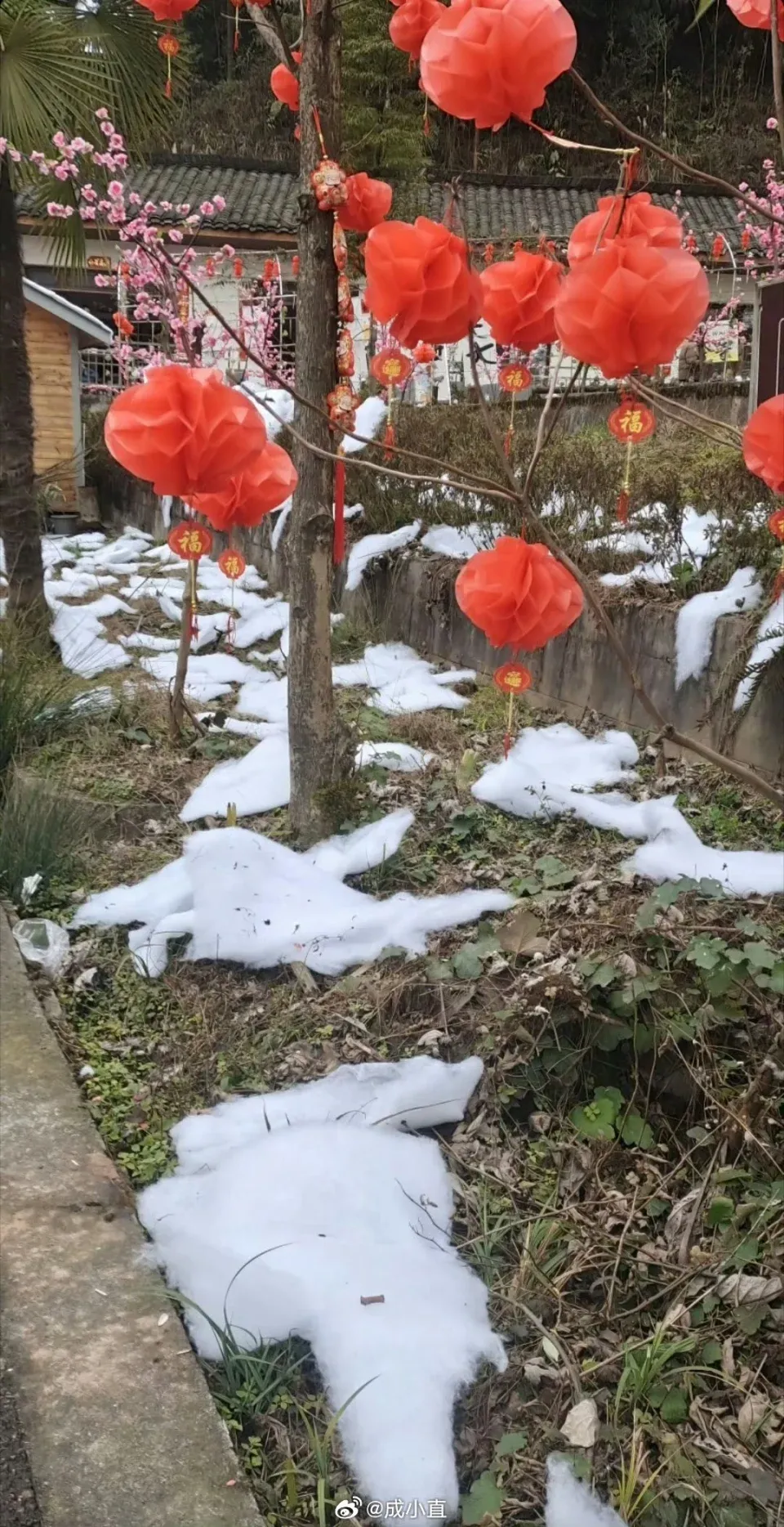 四川雪村景區涉造假,令部份遊客感到被欺騙。