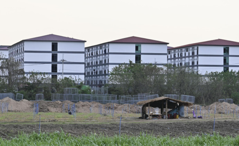 圖為從泰國西北部湄索望見的據稱電詐窩點集中的緬甸東部地區建築。攝於2月24日。(共同社)