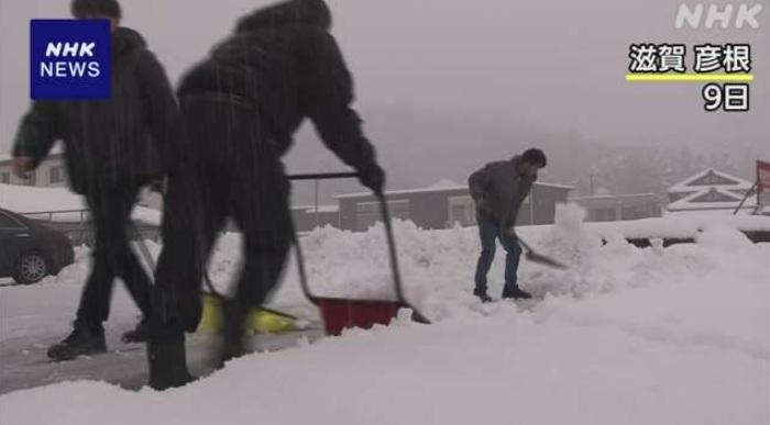 滋賀縣彥根居民除雪。(互聯網)
