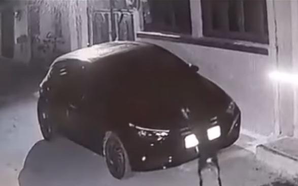 黑狗首先施襲,撲上車頭狂抓。(互聯網)