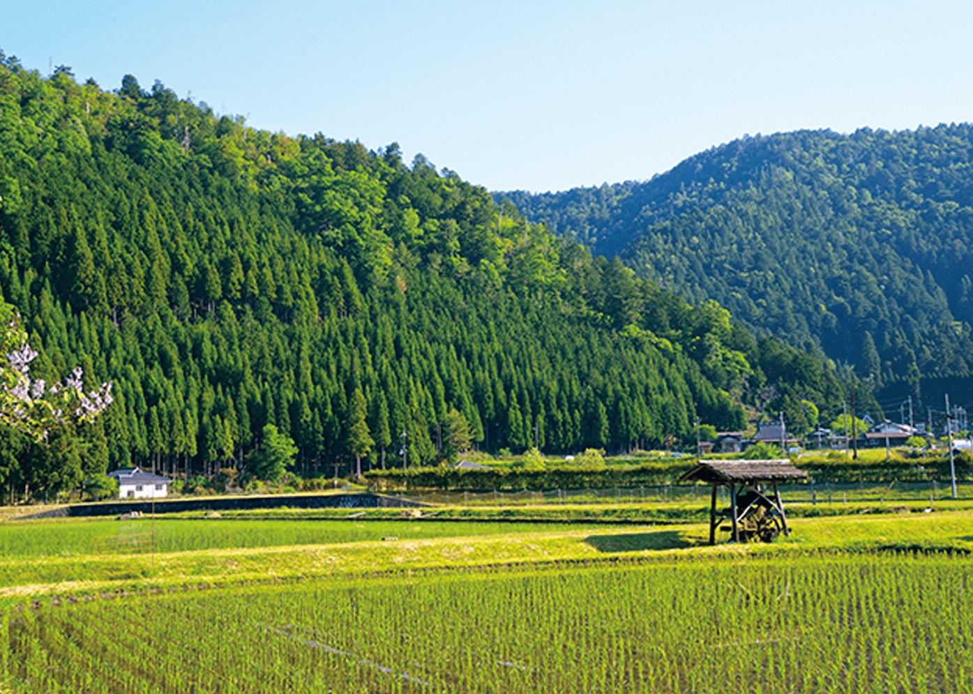 京都京北地區自然景致。(互聯網)