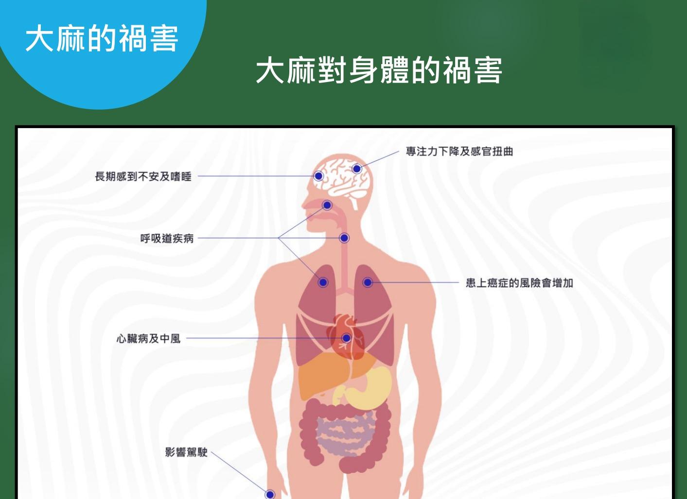 毒品大麻|大麻壞處(禁毒處)