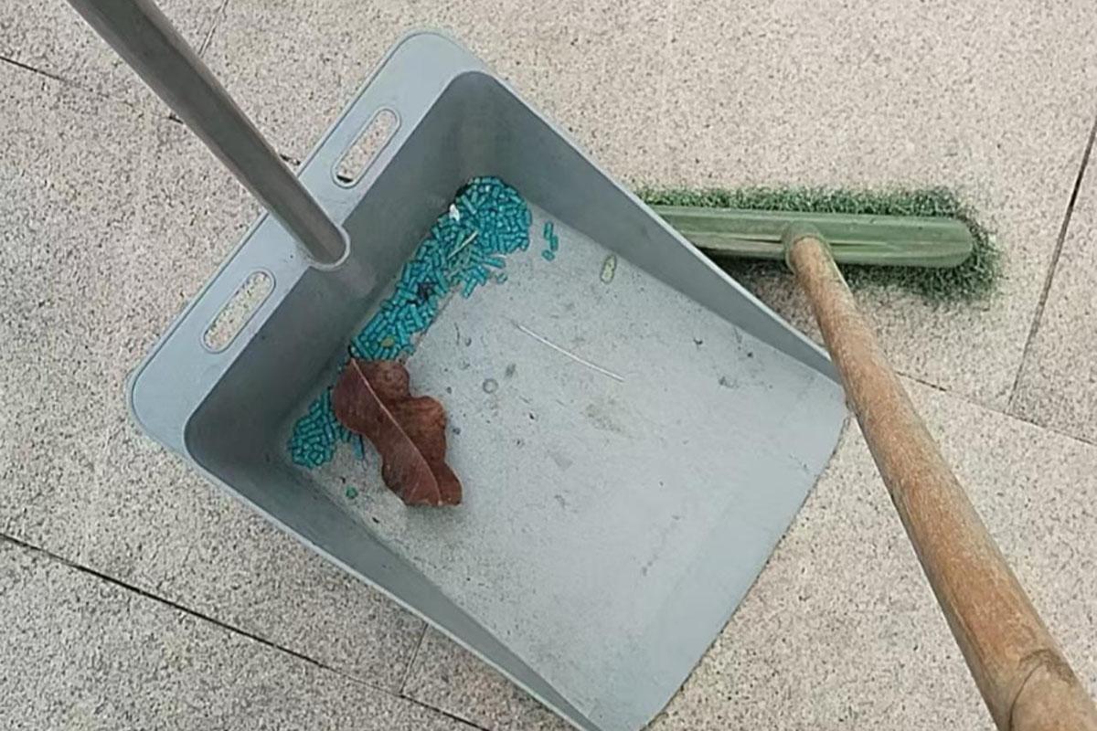 聚魚道休憩花園最近不時出現藍色老鼠藥。(《香港動物報》圖片)