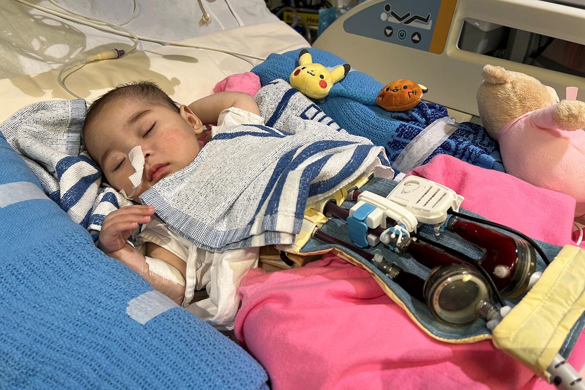 女嬰祈祈獲得內地捐贈心臟並成功移植。(香港兒童醫院提供)