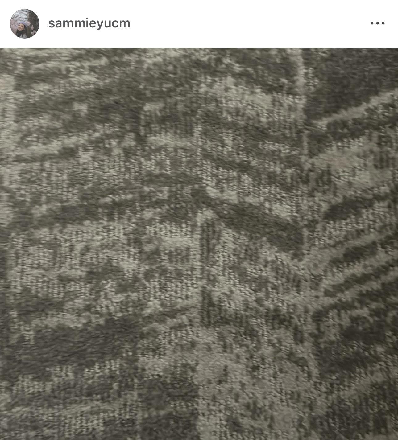 余思敏在鄭中基與何慶湘中止合作之前,在IG貼出一張地氈相,暗示有大件事發生。