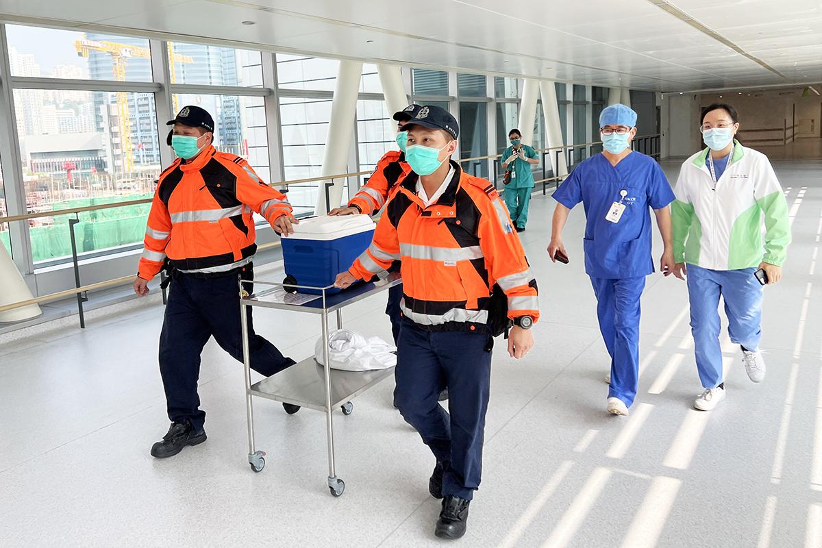 合適的心臟花了兩個多小時,成功從內地運抵香港兒童醫院。(香港兒童醫院提供)