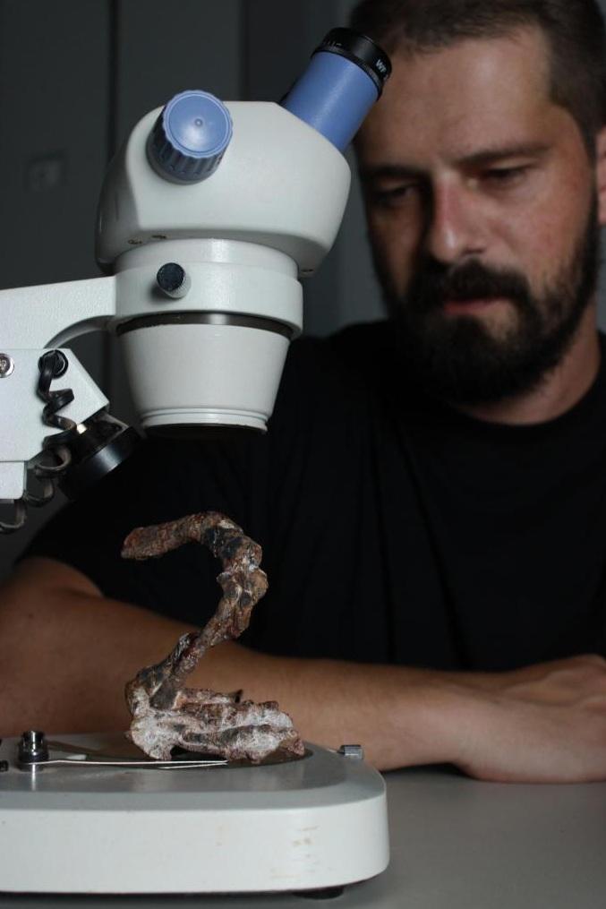 科學家用電子顯微鏡分析最新發現的中生代新爬行動物化石。(互聯網)