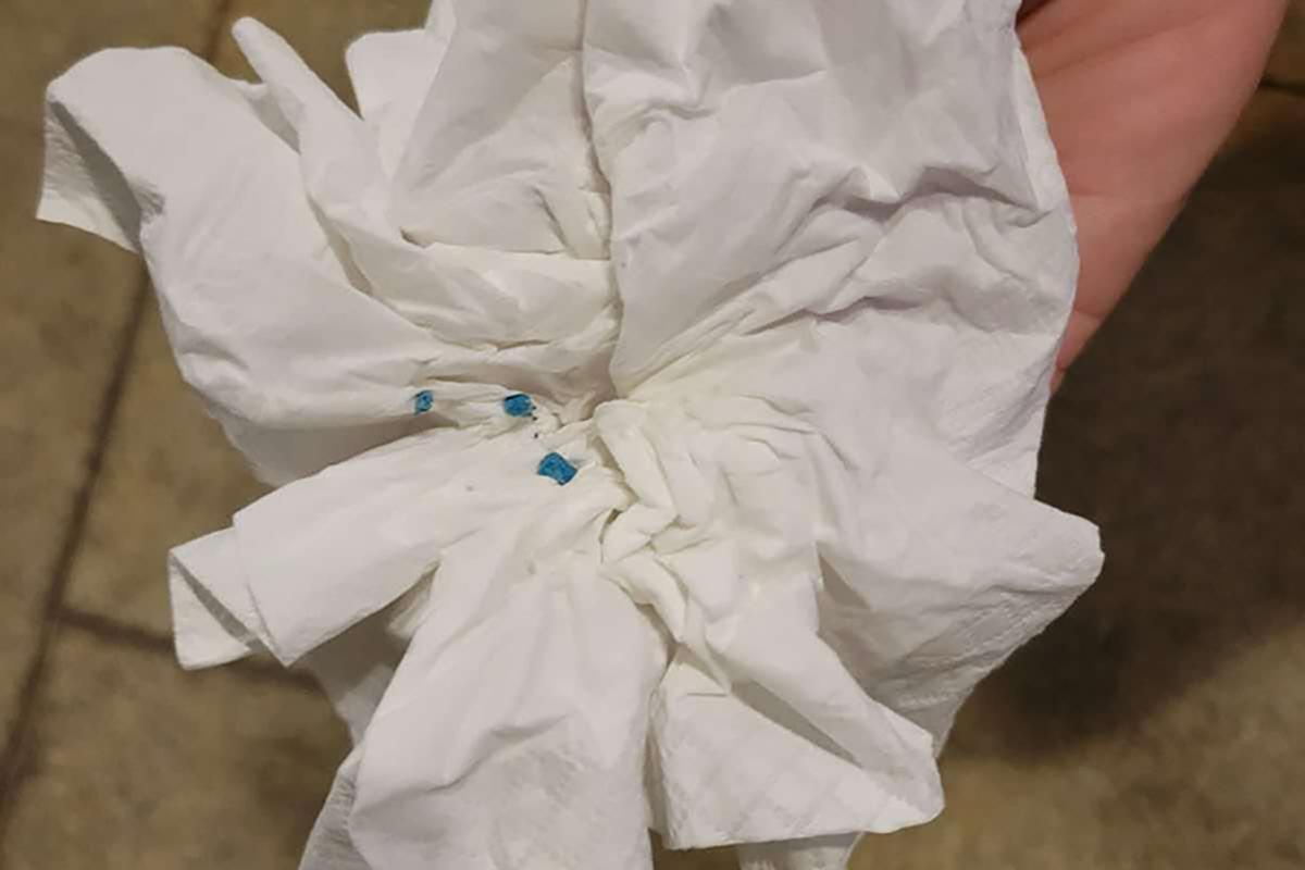 聚魚道休憩花園最近不時出現藍色老鼠藥。(《香港動物報》圖片)