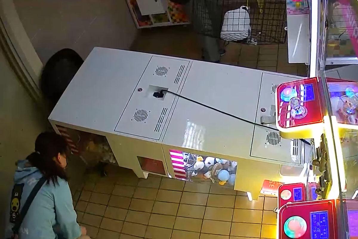 有夾公仔機遭拉跌損毀的過程被閉路電視拍下,其中一人在機器倒下後查看內在貨物情況。(FB群組「南區之友2.0」影片截圖)