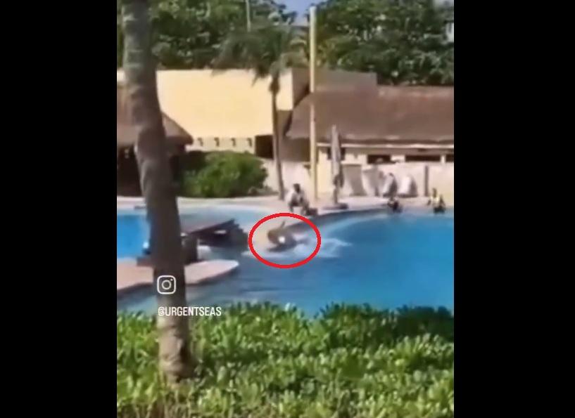 海豚頭部直撞池邊,即癱倒在地,職員上前查看。(互聯網)