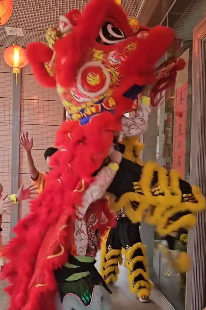將軍澳有屋苑舞獅期間失手,兩人首次嘗試躍起採青時,舞獅尾者未能成功托起舞獅頭者。(Threads影片截圖)
