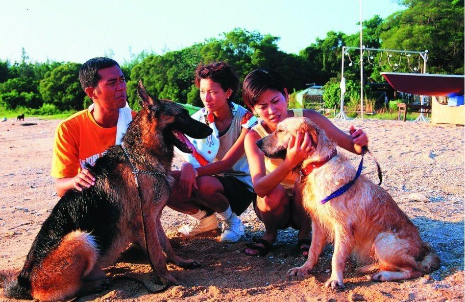 《寵物情緣》講述展碩、Wing、Susan三人之間的友情與愛情,最終展碩與Wing修成正果。(圖片來源:影片截圖)