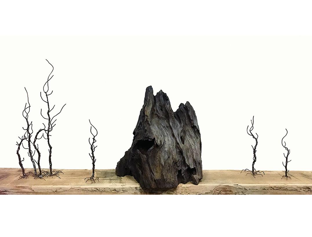 楊國芬作品《木石清華(一)》。