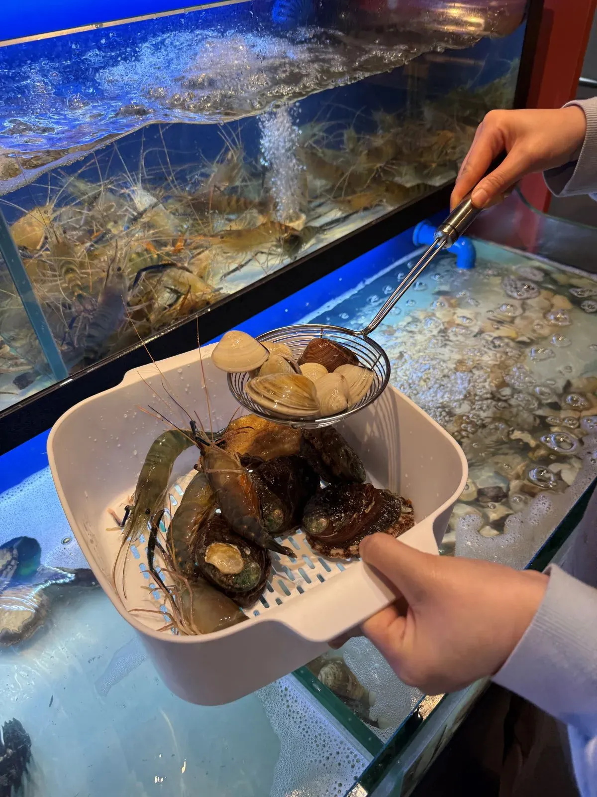 晚市火鍋放題提供多達7款海鮮任客人撈。