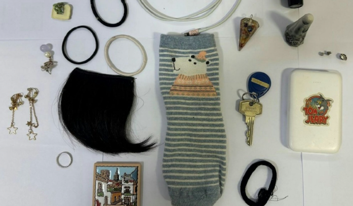 鄒鎮豪利用通訊和交友軟件結識同為華人的留學生人,約會飲酒時向她下藥,迷暈後性侵並拍下過程,更會保留受害人的物品當作「戰利品」