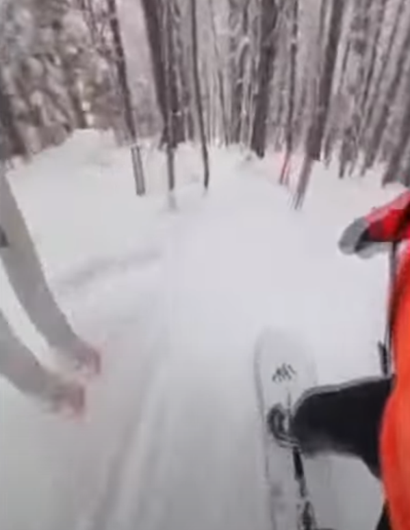 中國遊客滑入狹窄的樹林。(影片截圖)