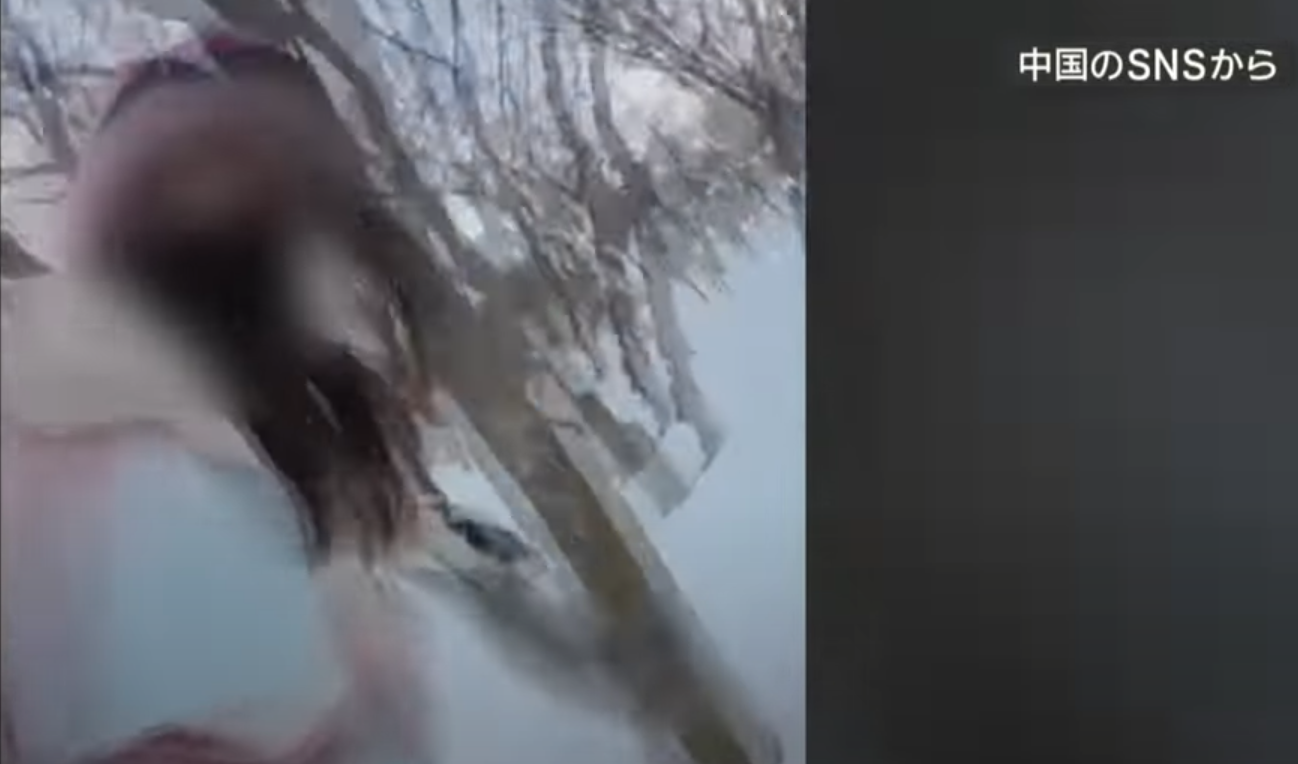 中國遊客滑入樹林撞上樹枝。(影片截圖)