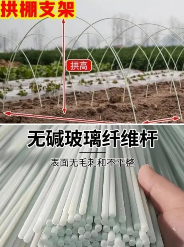 玻璃纖維製品最細的只有髮絲的1/20。(寧波晚報)