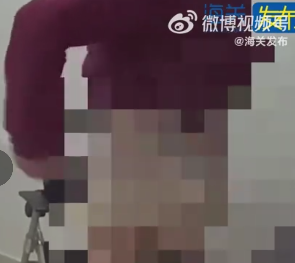 電子遊戲《魔物獵人荒野》(Monster Hunter Wilds)最近大賣,有人疑為了逃稅,遊戲發售當日將156張PS5遊戲光碟從澳門走私往內地,在港珠澳大橋被截查。