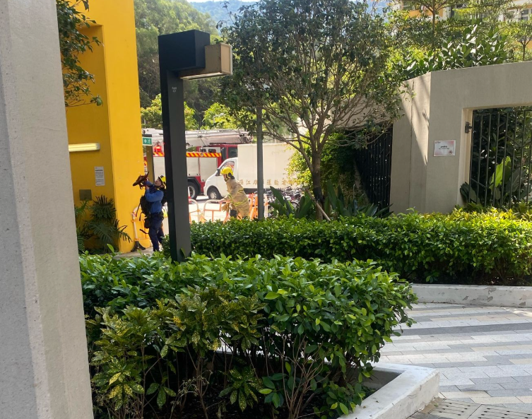 粉嶺皇后山邨皇樂樓一低層單位,兩名年幼男童爬出窗外,分別危坐大廈外牆及冷氣機窗台,消防及警方趕至破門營救。(皇后山乜都友 fb)