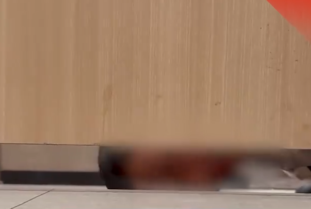 深圳有市民周三(19日)反映在龍崗區布吉萬象匯商場的廁所內被一名男清潔工偷窺,引起熱議。商場回應稱,該清潔工發現一名男顧客長時間在廁格內,敲門後未獲回應,情急之下才趴地查看,事後已與顧客溝通並取得諒解。(影片截圖)