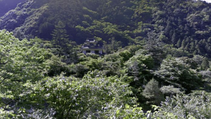 有日本攝影師發現一座「謎之城」。(互聯網)