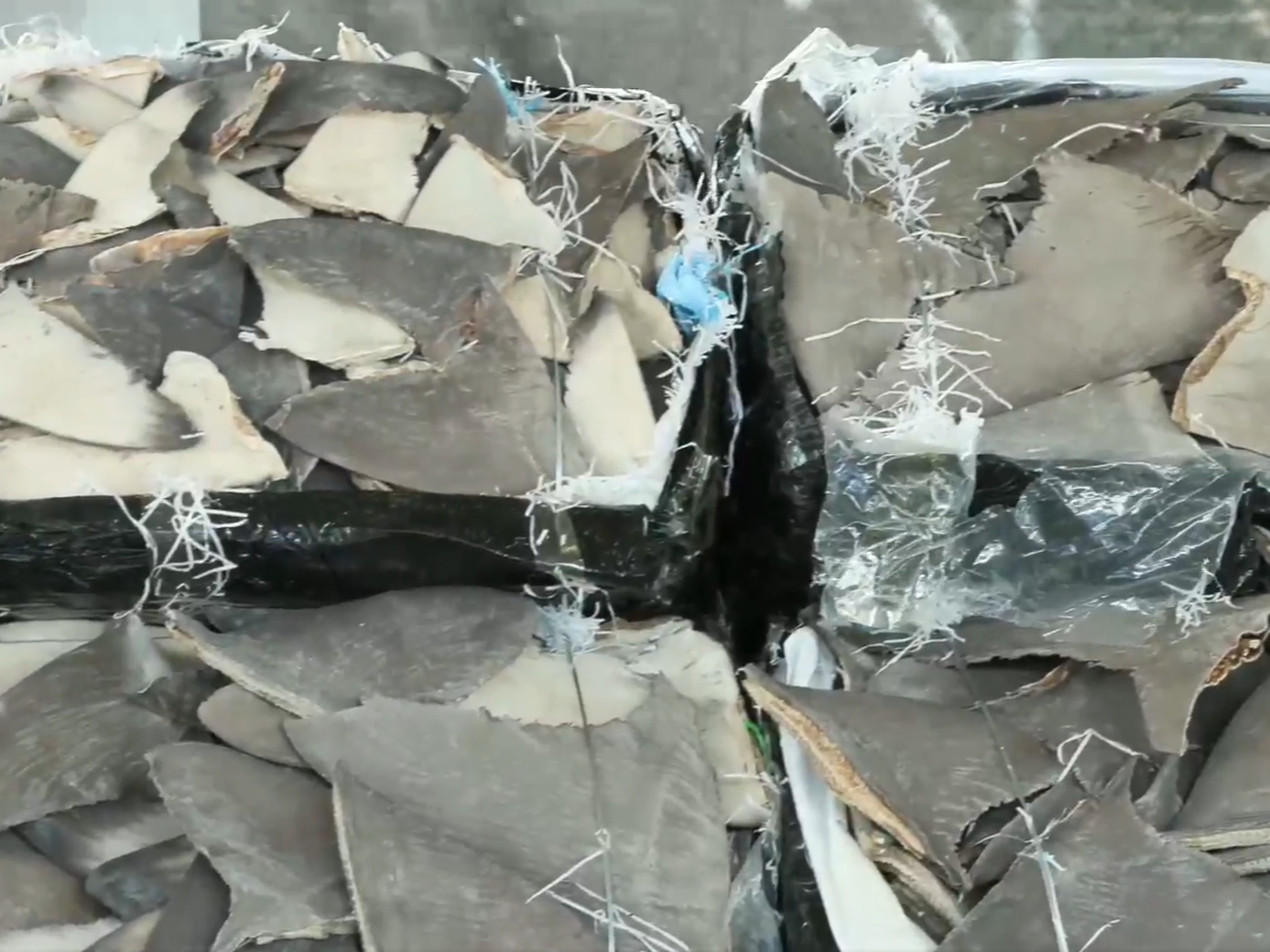 海關檢獲乾魚翅、電子產品及雪茄。(香港海關facebook)