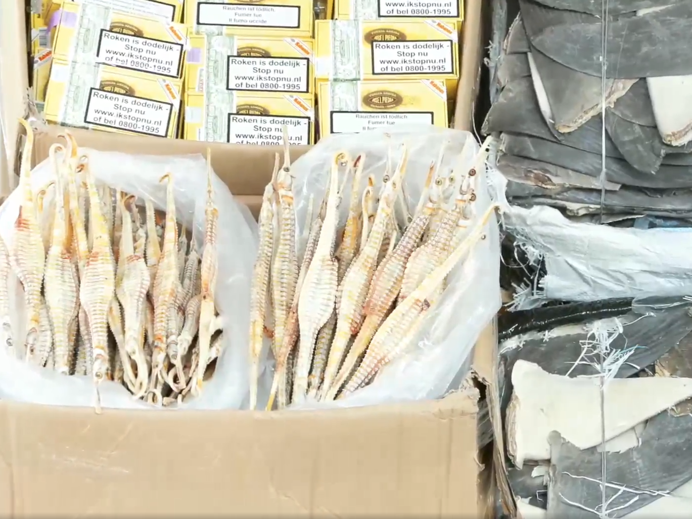 海關檢獲乾魚翅、電子產品及雪茄。(香港海關facebook)