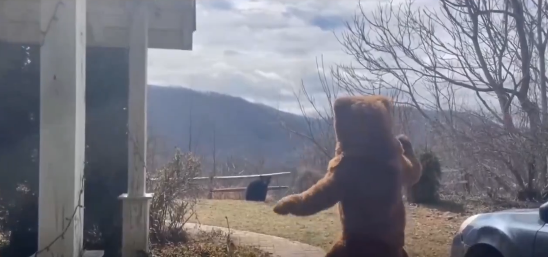 「棕熊」見狀開始揮舞雙手、大叫