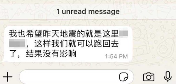 「豬仔」傳絕望訊息:希望地震的就是這裡。(互聯網)