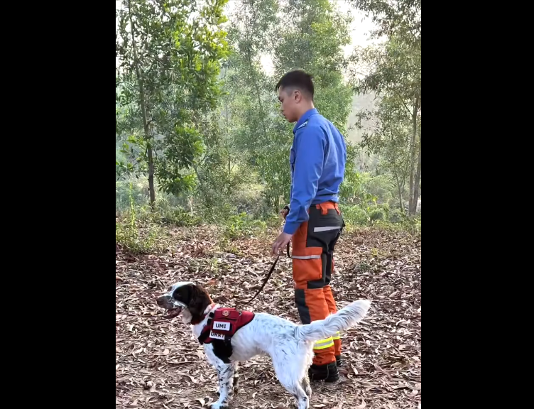 救援隊會先做一些勘察工作。(保安局FB)