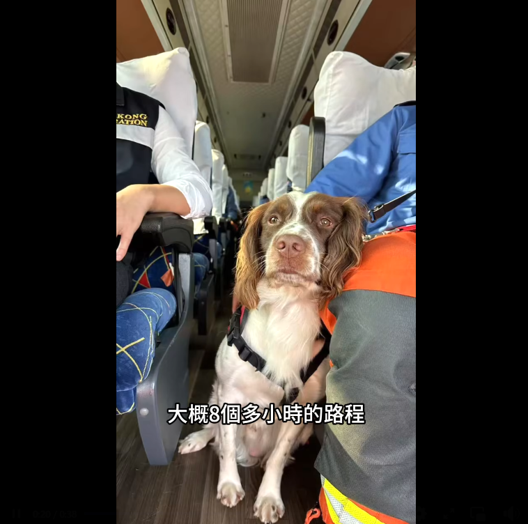 救援隊會先做一些勘察工作。(保安局FB)